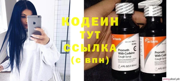 индика Абинск