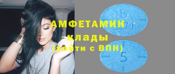 индика Абинск